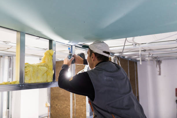 Best Residential Insulation Services  in USA